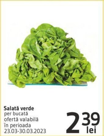 Supeco Salată verde Ofertă