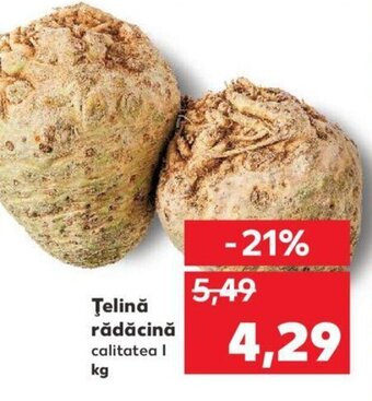 Kaufland Țelină rădăcină kg Ofertă