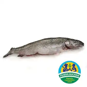 Auchan Pastrav eviscerat romania, +/- 1 kg Ofertă