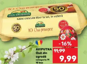Kaufland Aviputna Ouă din ogradă 10 buc Ofertă