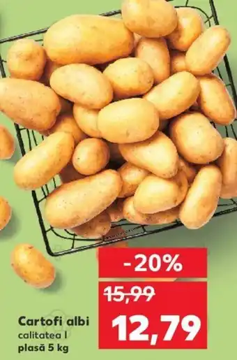 Kaufland Cartofi albi plasă 5kg Ofertă