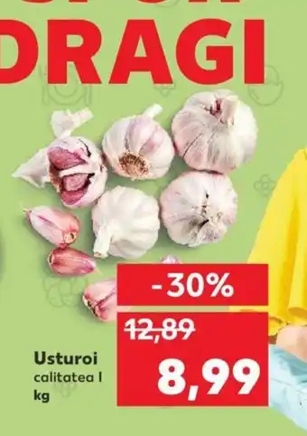 Usturoi kg