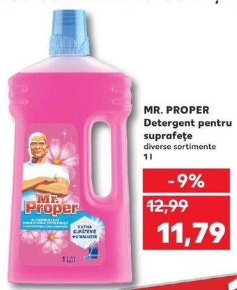Kaufland Mr. Proper detergent pentru suprafețe 1l Ofertă