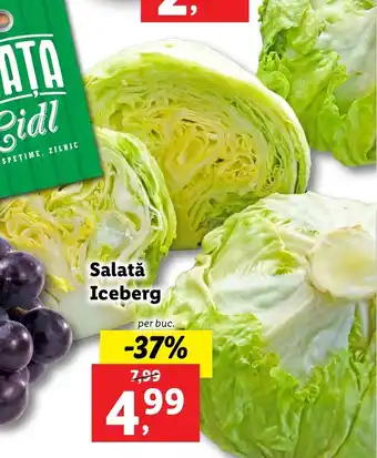 Lidl Salată Iceberg buc Ofertă