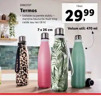 Lidl Ernesto Termos 1 buc Ofertă
