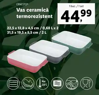 Lidl Ernesto Vas ceramică termorezistent 1 buc. / 1 set Ofertă