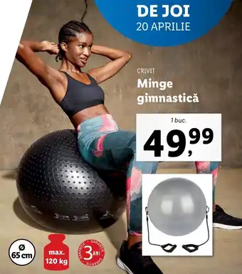 Crivit Minge gimnastică 1 buc