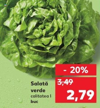 Kaufland Salată verde buc Ofertă