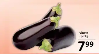 Selgros Vinete - per kg Ofertă