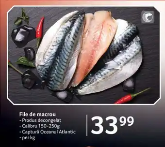 Selgros File de macrou Calibru 150-250g Ofertă