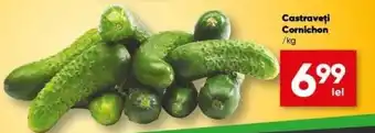 PROFI Castraveti Cornichon /kg Ofertă