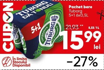 PROFI Tuborg Pachet bere 6x0,5L Ofertă