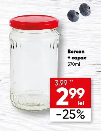 Borcan + capac 370ml
