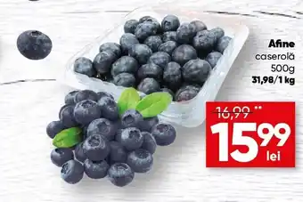 PROFI Afine caserolă 500g Ofertă