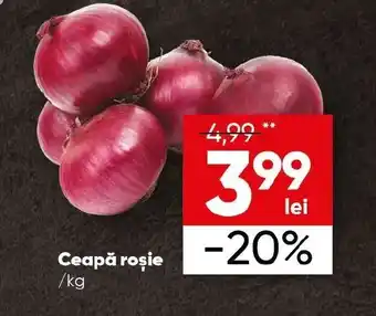 PROFI Ceapă roşie /kg Ofertă
