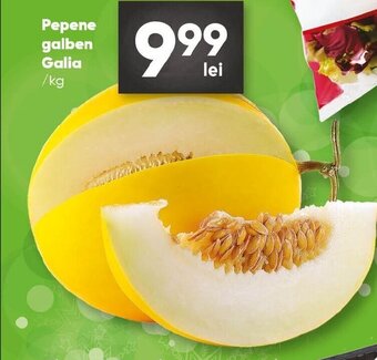 PROFI Pepene galben Galia /kg Ofertă