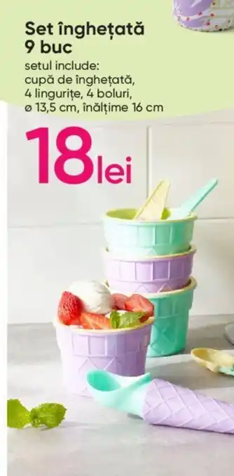 Set îngheţată 9 buc