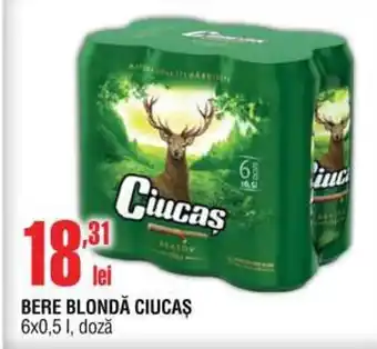 Cora BERE BLONDĂ CIUCAŞ 6x0,5 l, doză Ofertă