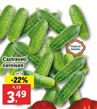 PIATA Lidl Castraveţi cornison per kg
