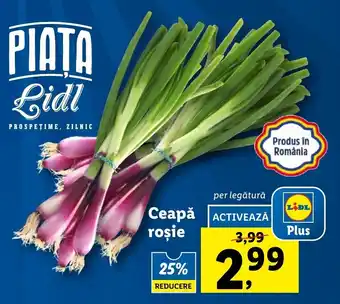 Lidl PIATA Lidl Ceapă roşie per legătură Ofertă