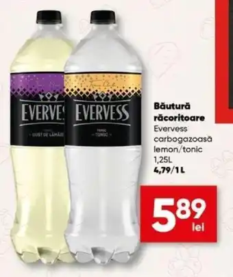 PROFI Evervess Băutură răcoritoare 1.25l Ofertă