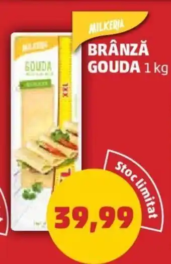 Penny MILKERIA BRÂNZĂ GOUDA 1 kg Ofertă