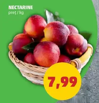 Penny NECTARINE preţ / kg Ofertă