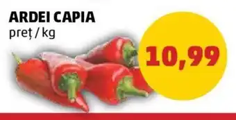 Penny ARDEI CAPIA pret/kg Ofertă