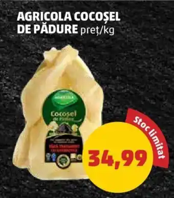 Penny AGRICOLA COCOȘEL DE PĂDURE preț/kg Ofertă
