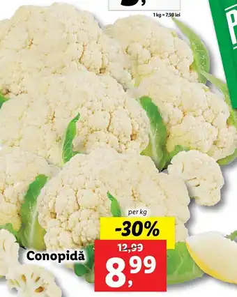 PIATA Lidl Conopidă per kg
