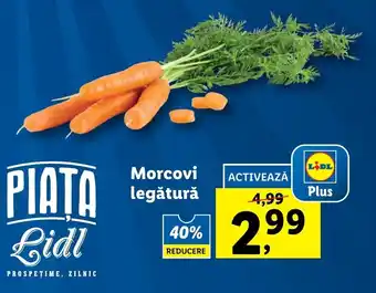 Lidl PIATA Lidl Morcovi legătură Ofertă
