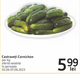 Supeco Castraveţi Cornichon per kg Ofertă