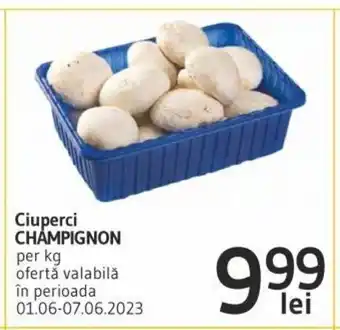 Supeco Ciuperci CHAMPIGNON per kg Ofertă