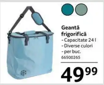 Geantă frigorifică Capacitate 24l 1 buc