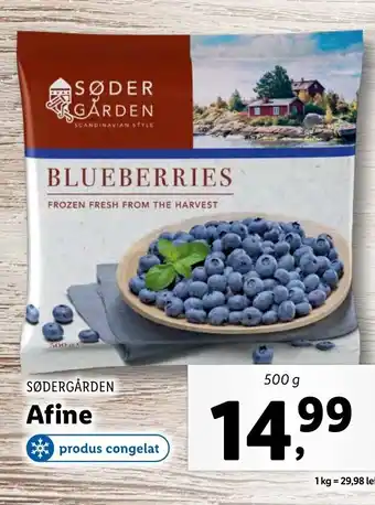 Lidl SØDERGÅRDEN Afine 500g Ofertă
