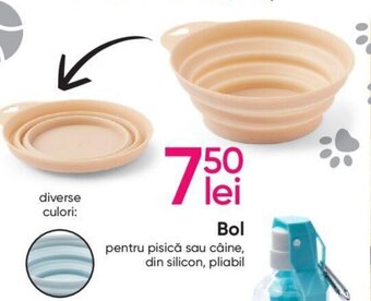Pepco Bol Ofertă