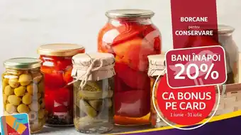 BORCANE pentru CONSERVARE BANI ÎNAPOI