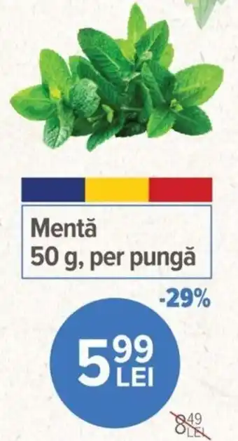 Mentă 50 g, per pungă