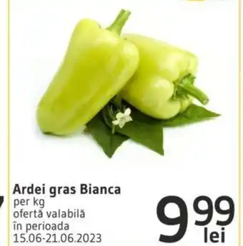 Supeco Ardei gras Bianca per kg ofertă valabilă în perioada lei 15.06-21.06.2023 Ofertă