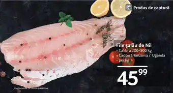 Selgros File şalău de Nil Calibru 300-500 kg - Captură Tanzania Uganda - per kg Ofertă
