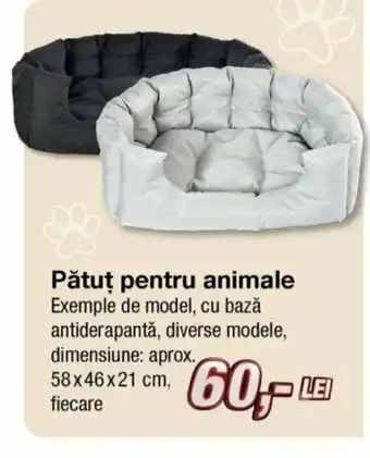 Kik Pătut pentru animale 58 x 46 x 21 cm Ofertă