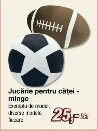 Jucărie pentru căței - minge