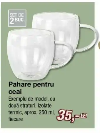 Pahare pentru ceai 250ml 2 buc