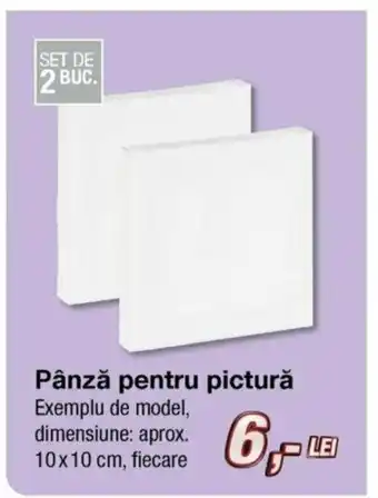 Pânză pentru pictură 10x10 cm 2 buc