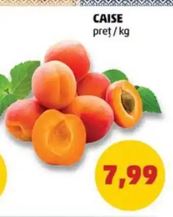 Penny CAISE preț kg Ofertă