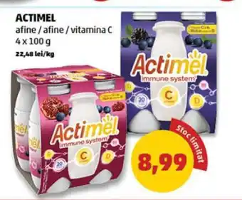 Penny ACTIMEL afine / afine/vitamina C 4x100 g Ofertă