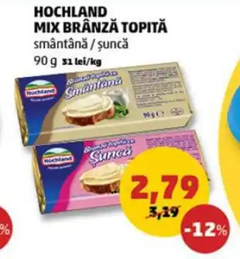 Penny HOCHLAND MIX BRÂNZĂ TOPITĂ smântână / şuncă 90 g Ofertă