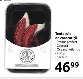 Tentacule de caracatiţă 200G