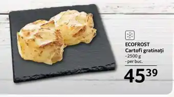 Selgros ECOFROST Cartofi gratinaţi 2500 g Ofertă