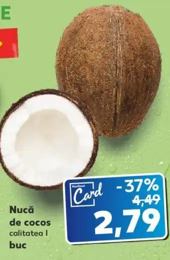 Kaufland Nucă de cocos calitatea I 1 buc Ofertă